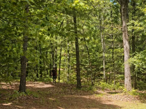 3552 Highway 39, Chelsea, AL 35043