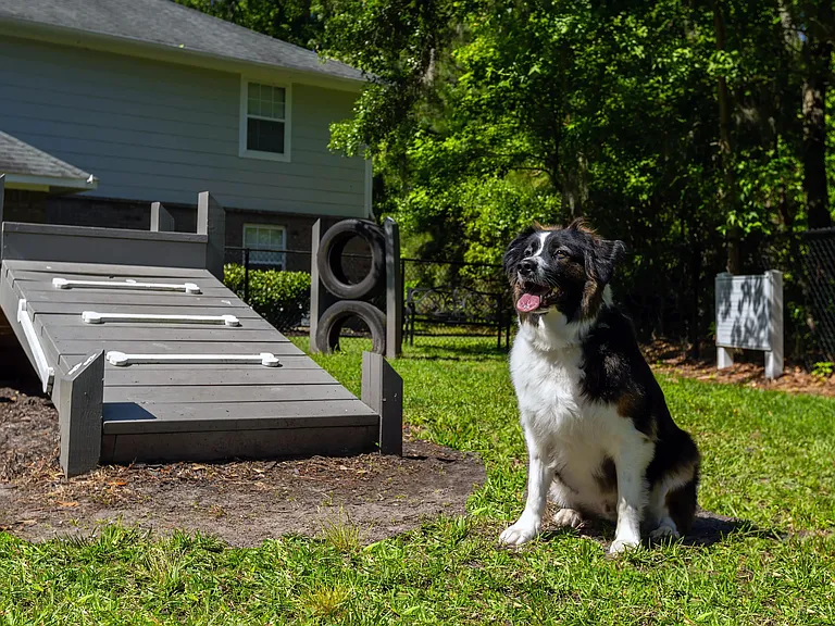 We welcome pets of all sizes at The Grays.