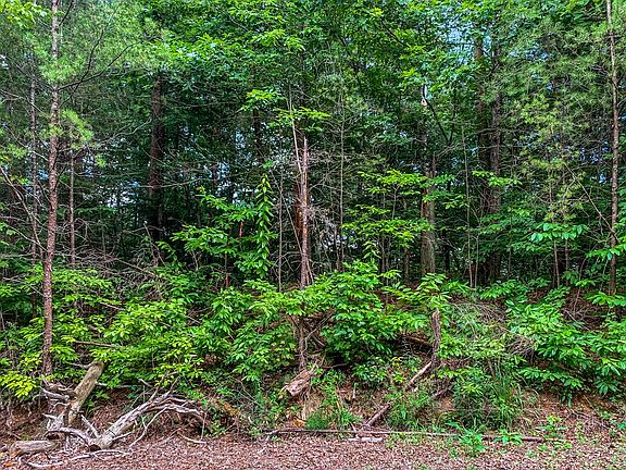 4th image of LOT 17 Misty Mountain Trl