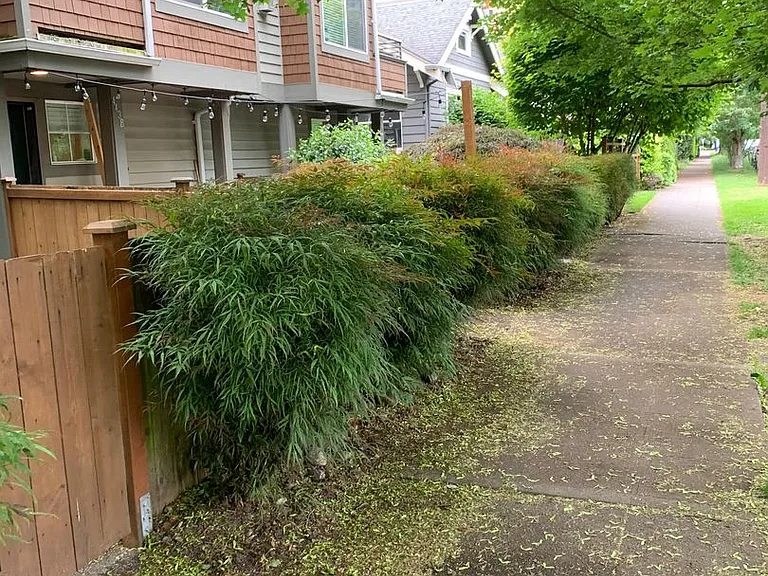443 NE Ravenna Blvd #C — Photo 3