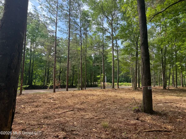 Evergreen Dr, Brandon, MS 39042