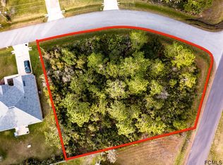 1 Buffalo View Ln, Palm Coast, FL 32137