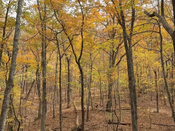 0 Super Deluxe Rd #183.91, Rockmart, GA 30153