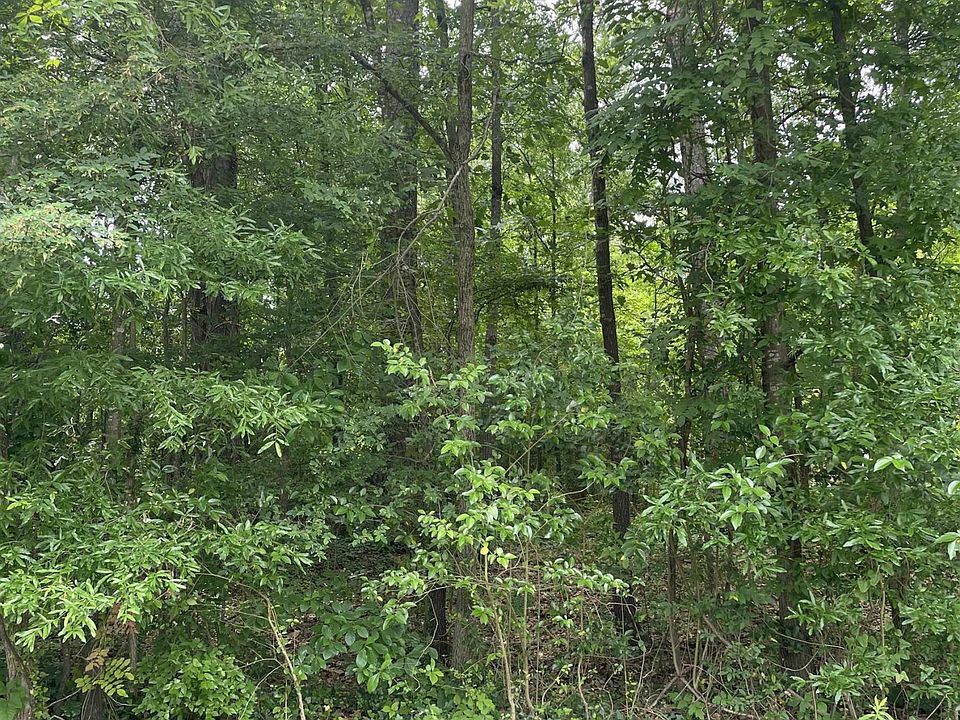 2nd image of 905 Bunn Ter #6-10