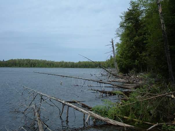 2nd image of Parcel 4