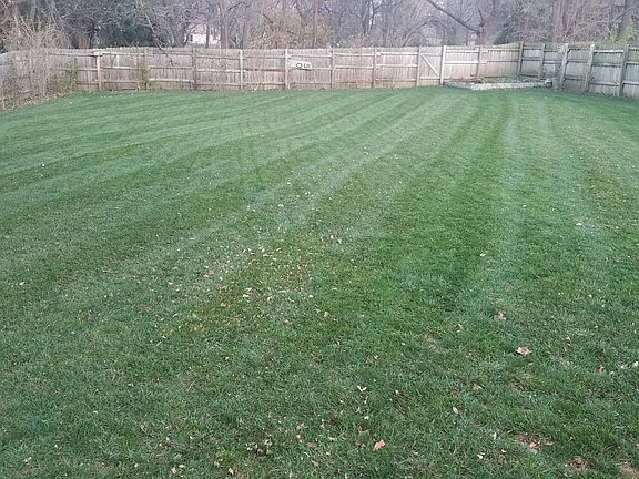 The backyard is really an awesome space and has a beautiful lawn to play on. Rose of Sharon line the entire perimeter of the fence, so by summer, the fence is barely visible and pink, purple, white flowers are in full bloom. The herb garden in the corner