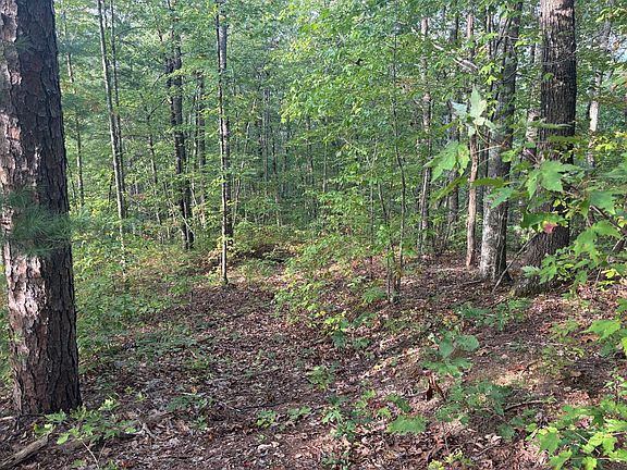 5th image of LOT 7 Madison Ln