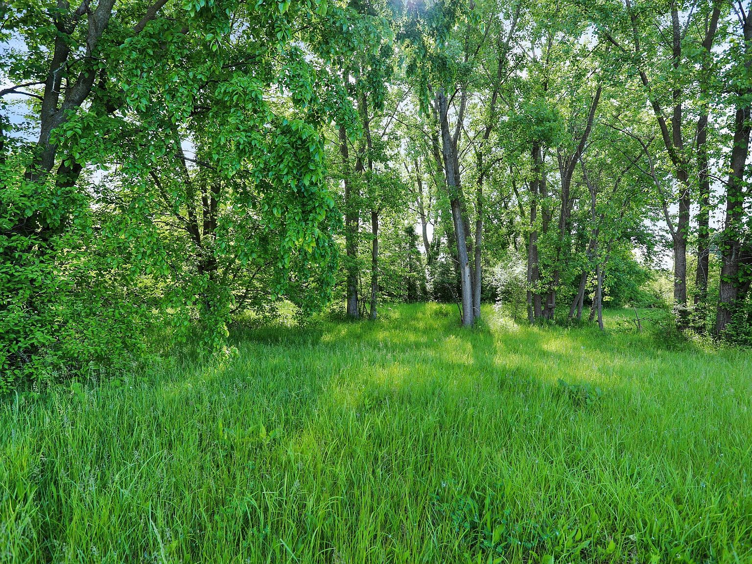 16227 Oak Ridge Rd, Westfield, IN 46074 MLS 21922274 Zillow