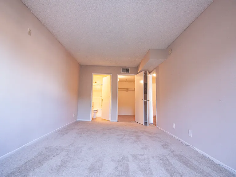Other side of bedroom with walk-in closet and bathroom