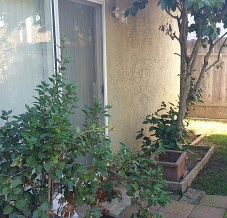 Patio off Master