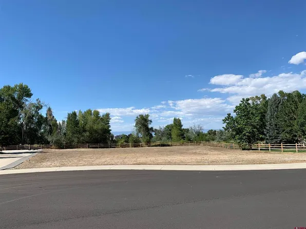 Lot 6 Tree Line Lane, Montrose, CO 81403