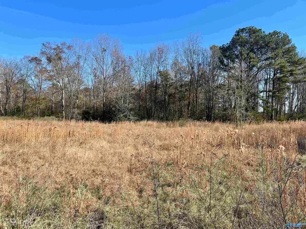 Track 3 County Rd #69, Centre, AL 35960