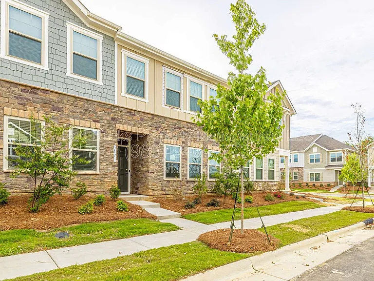 317 Planters Trace Ln — Photo 3