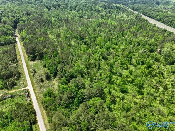 LOT 10 Mill Creek Rd, Falkville, AL 35622