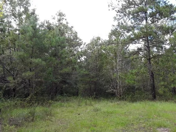 23199 Mixon Rd, Amite, LA 70422