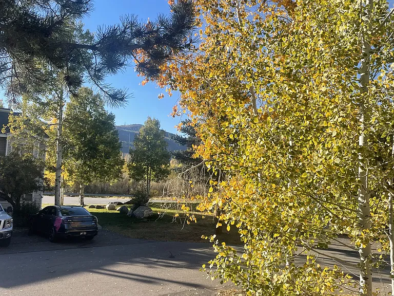 19 Cypress Ct — Photo 14