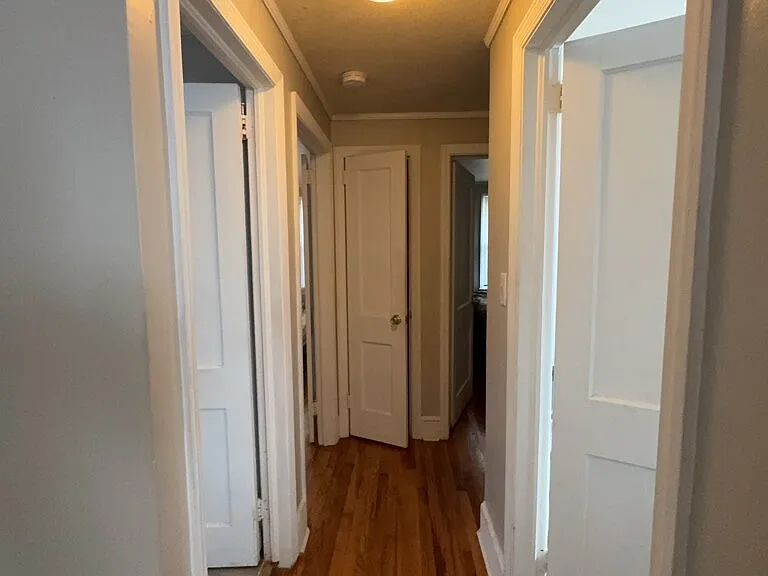 1307 Bolt Dr — Photo 8