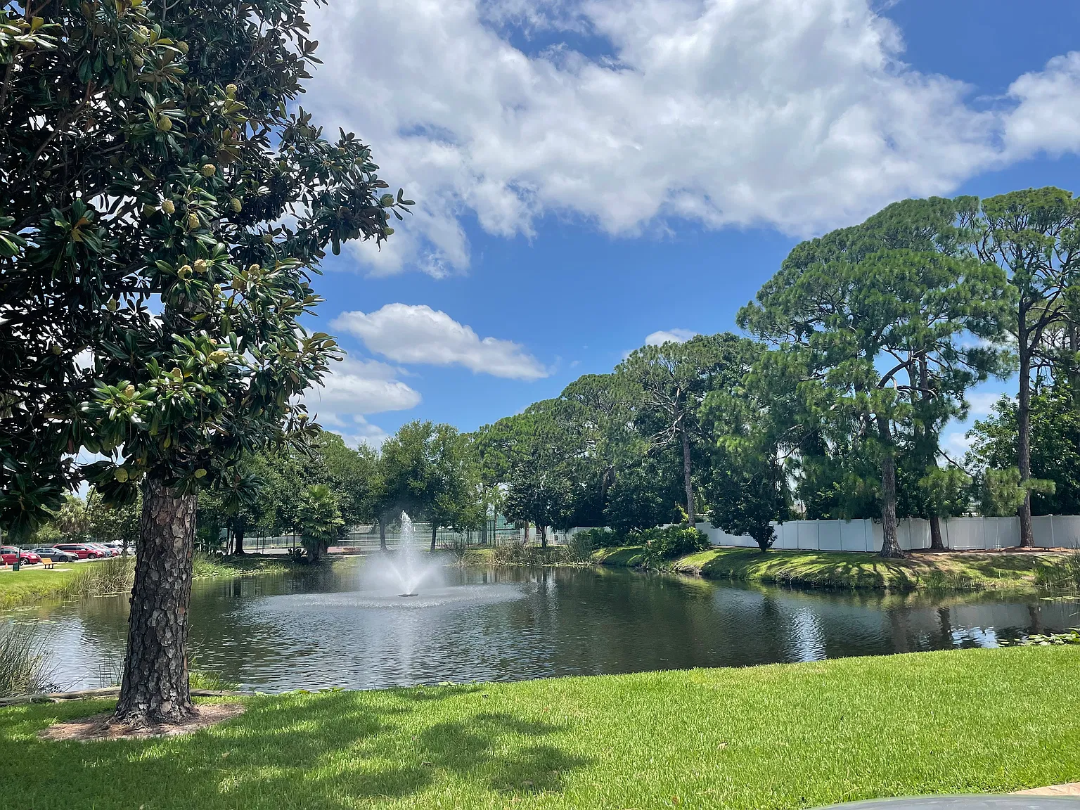 2 bed, 1010 sqft, $1,650 — Photo 1