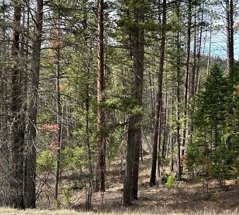 2nd image of 4715 Us Highway 2 W