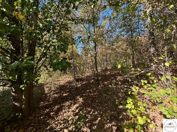 Ab Hwy, Lincoln, MO 65338