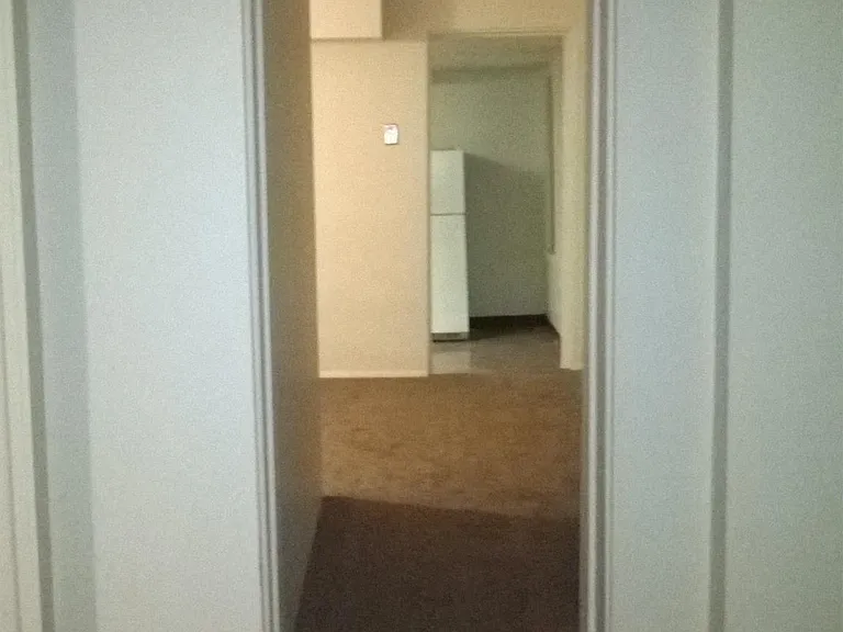 1417 Bingham St #2 — Photo 4