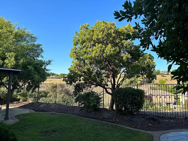 backyard 4