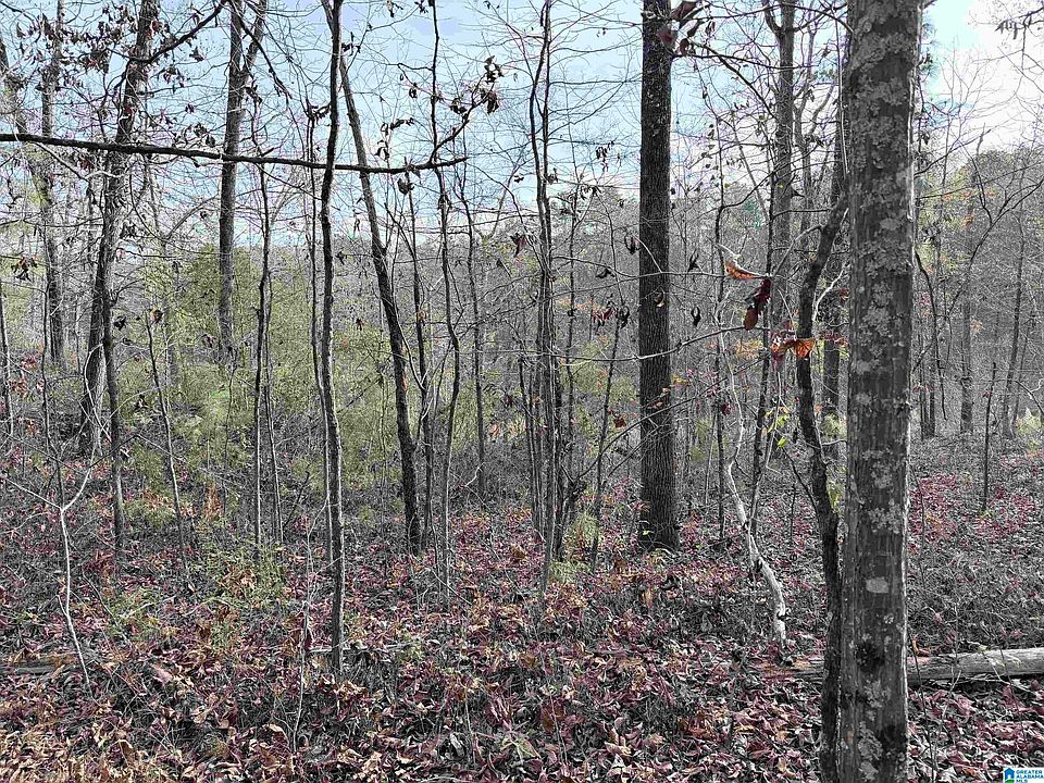 2nd image of 0 Aepean Way #82