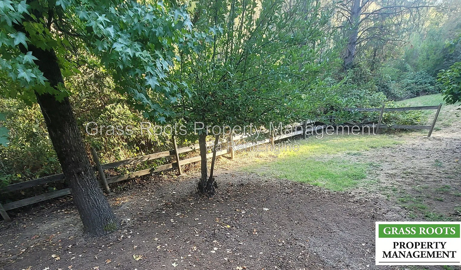 3 bed, 2.0 bath, 1310 sqft, $2,375 — Photo 1