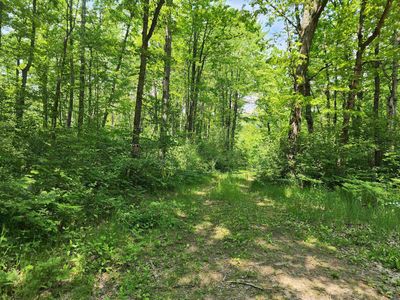 26/ACRE S Mostetler Rd, Harrison, MI, 48625
