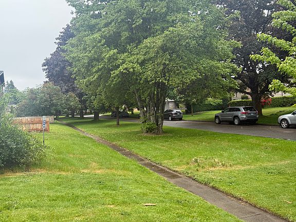 Lush, tree-lined street