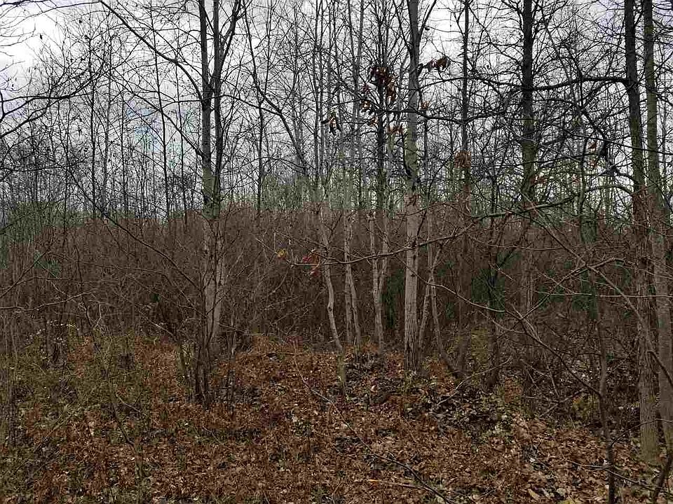 2nd image of Watson Rd