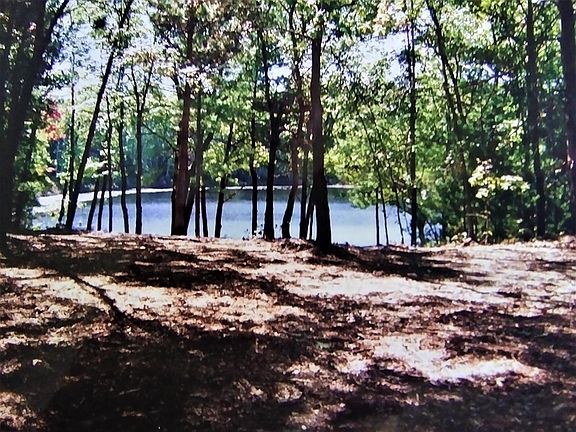5th image of N Sunshine Dr