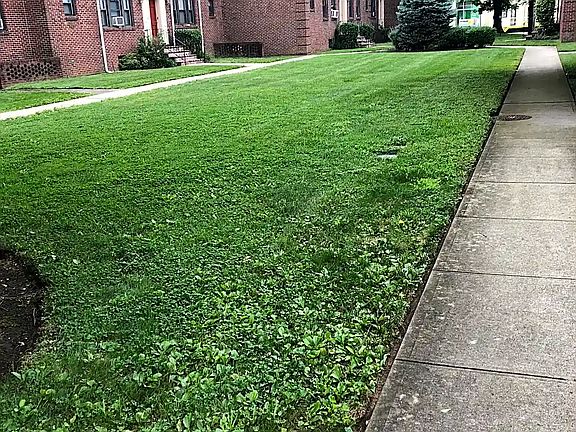 4th image of 660 Tulip Ave