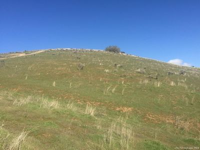 0 Daffodil Ln #236, Tehachapi, CA, 93561