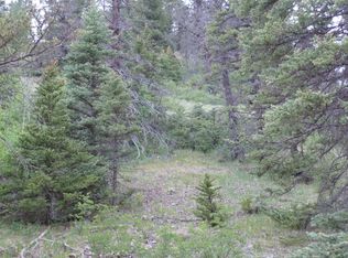 19-22 Valley Of The Pnes, Red River, NM 87558