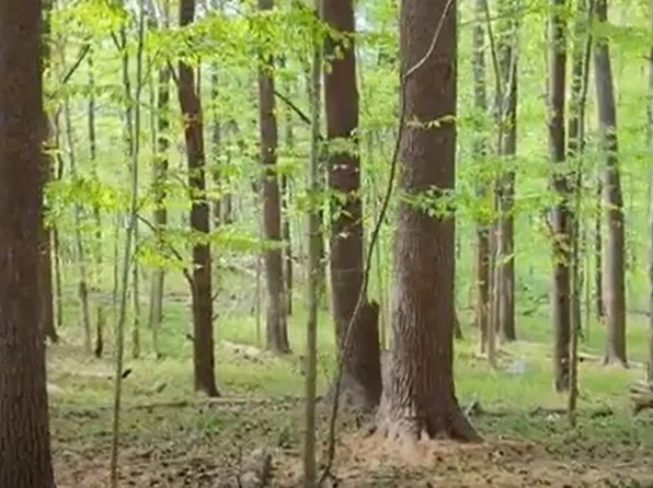 529 Boston St, North Andover, MA 01845