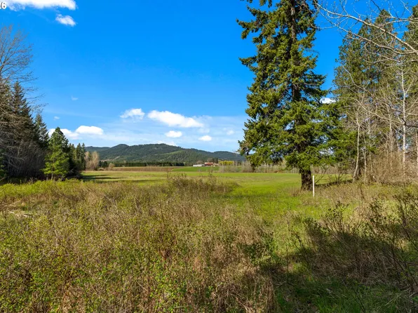 Stoller Rd, Trout Lake, WA 98650