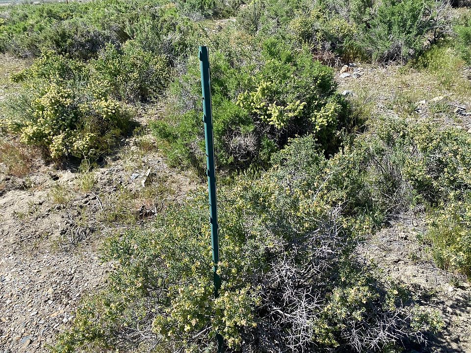 11040 Polo Park Ln, Lovelock, NV 89419 Zillow