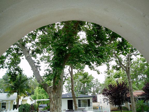 View from front door