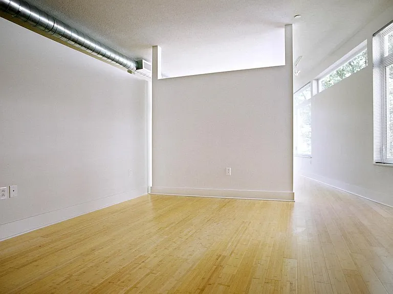 521 Shady Ave #14 — Photo 5