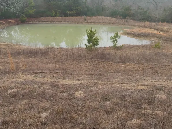 County Road 204, Centerville, TX 75833