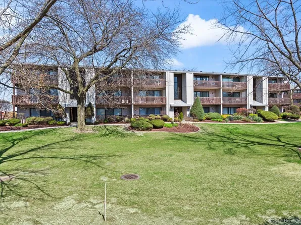 5039 Briartree Ln APT 202, Burbank, IL 60459