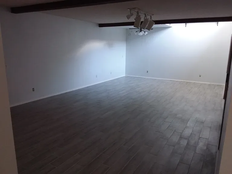 large entertainment/living room