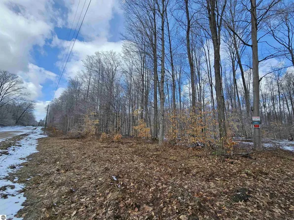 361 W Rhoby Rd, Lake City, MI 49651