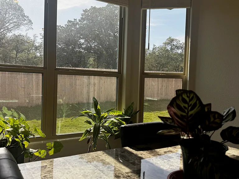 271 Sonata Cyn — Photo 9