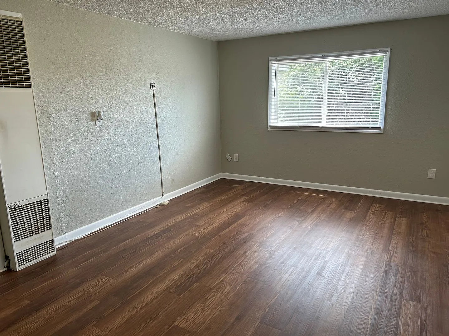 1 bed + 1 bonus room apartment in Laurel — Photo 3