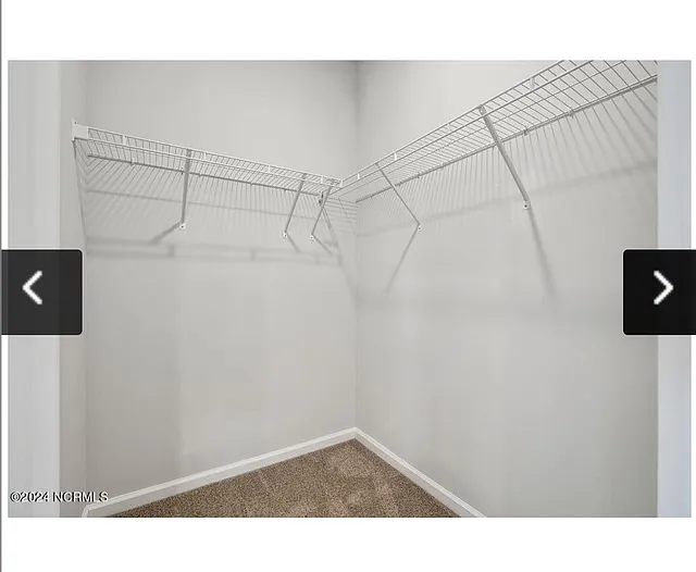 4242 Coralbead Ln — Photo 14