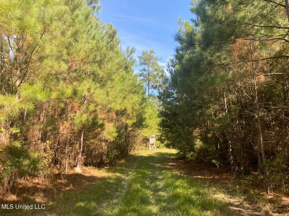 River Bend Rd, Columbia, MS 39429