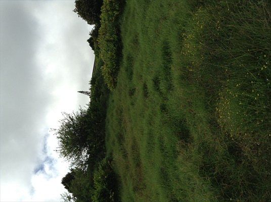 2nd image of Makaloa Loop Lot 44