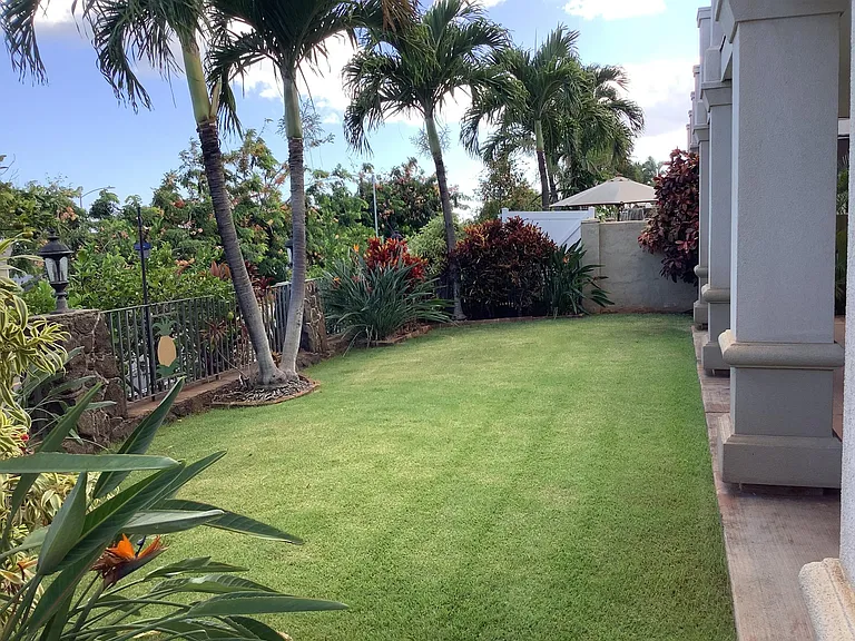 fenced back yard